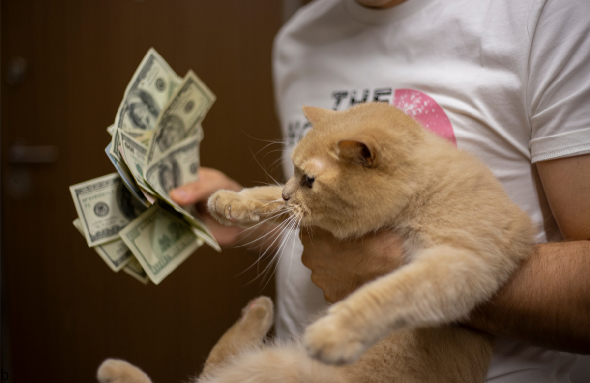 Un homme tenant son chat d'une main, et quelques billets d'argent de lautre