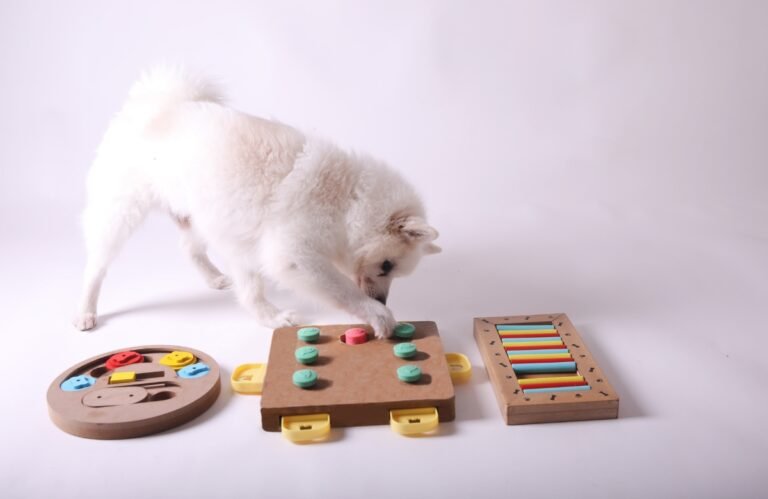 Dog-Confort.com : Offrez à votre chien confort et bien-être dog-confort.com