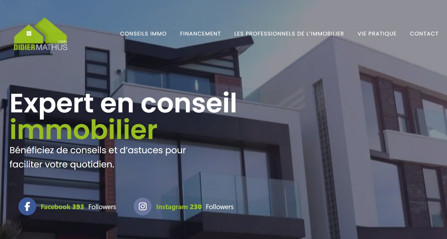 Didier Mathus Immobilier
